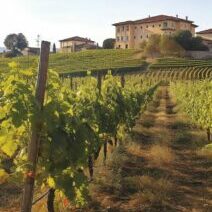 up and coming wine regions